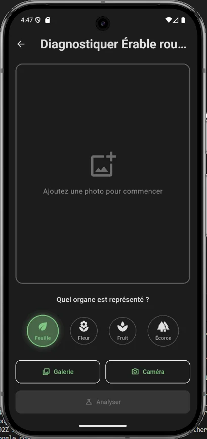 Diagnostic photo — thème sombre
